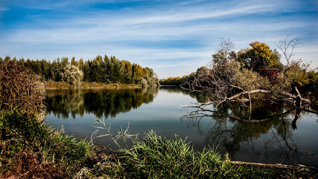 river-972786_1280 river-972786_1280